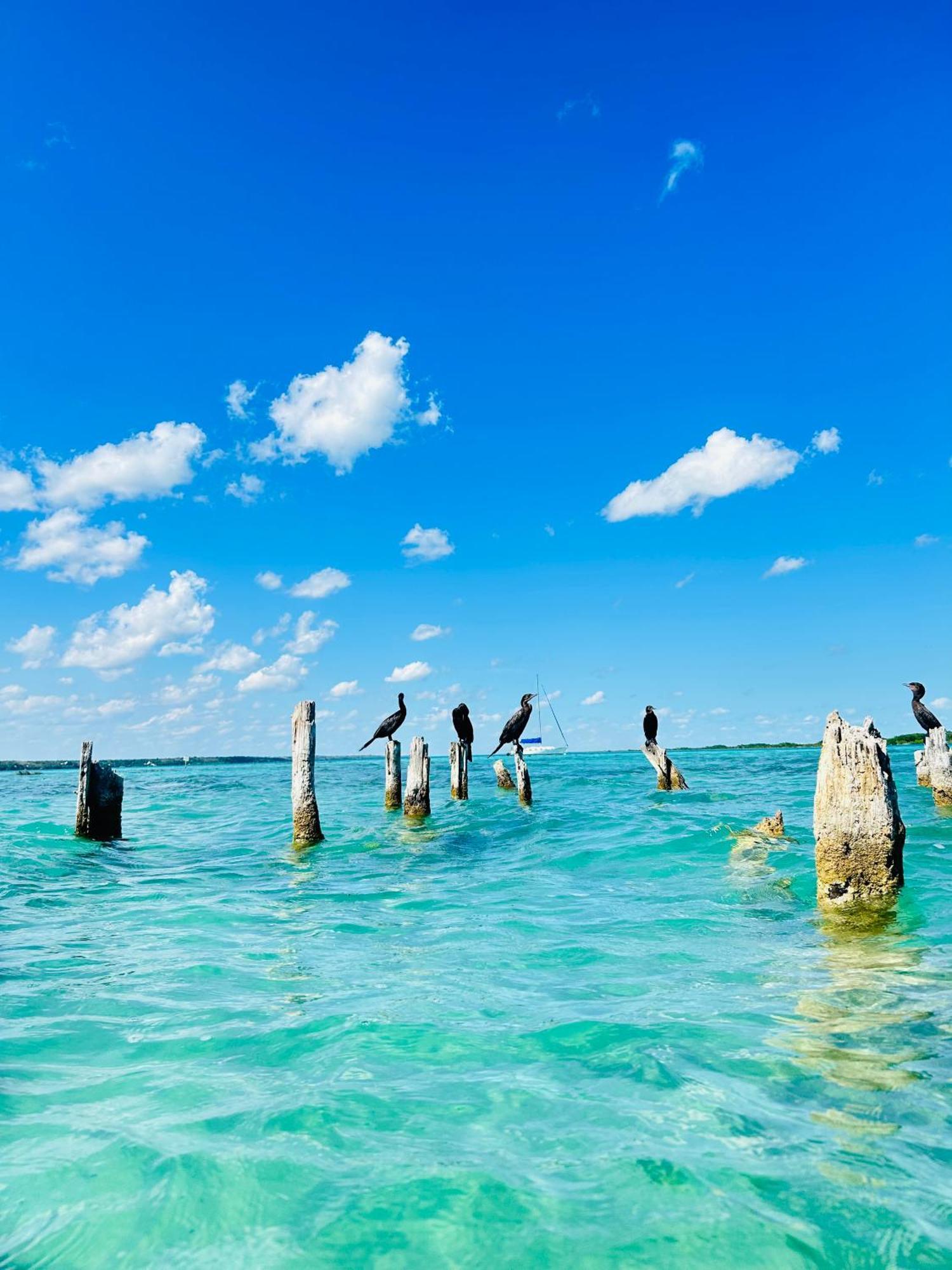 Departamentos Blue Bacalar Exterior foto